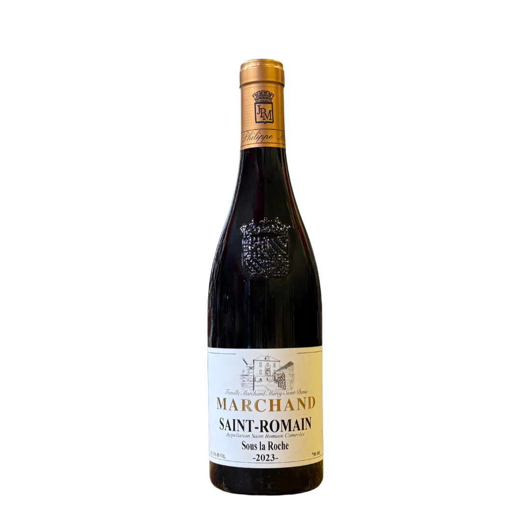 JP MARCHAND<p> Saint-Romain Sous la Roche 2023 </p>